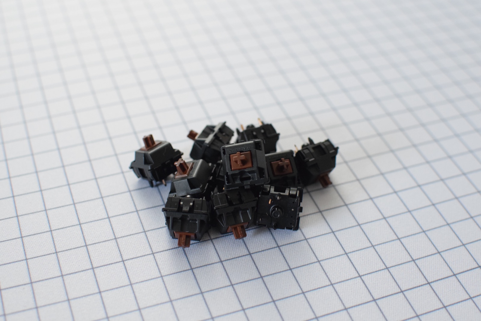 Cherry Cherry MX2A Brown