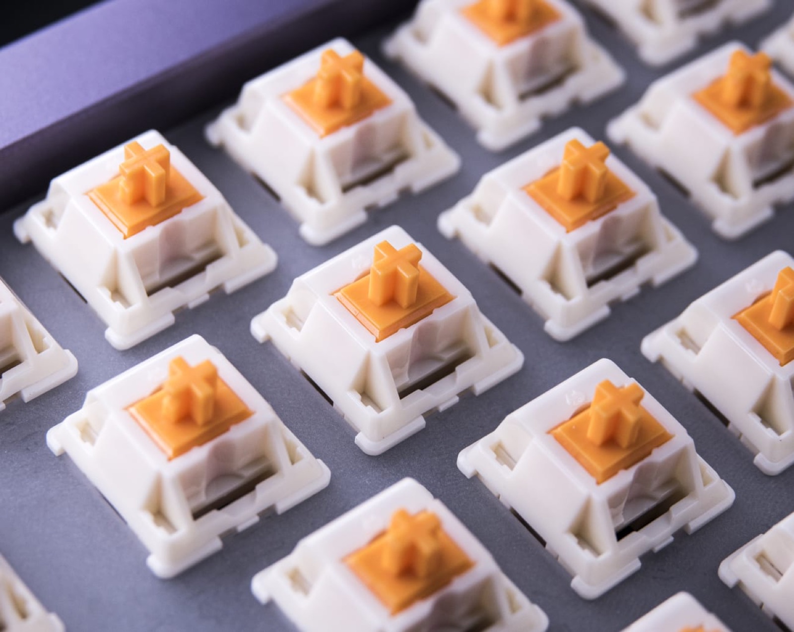 Tbcats Tbcats Eclair Orange
